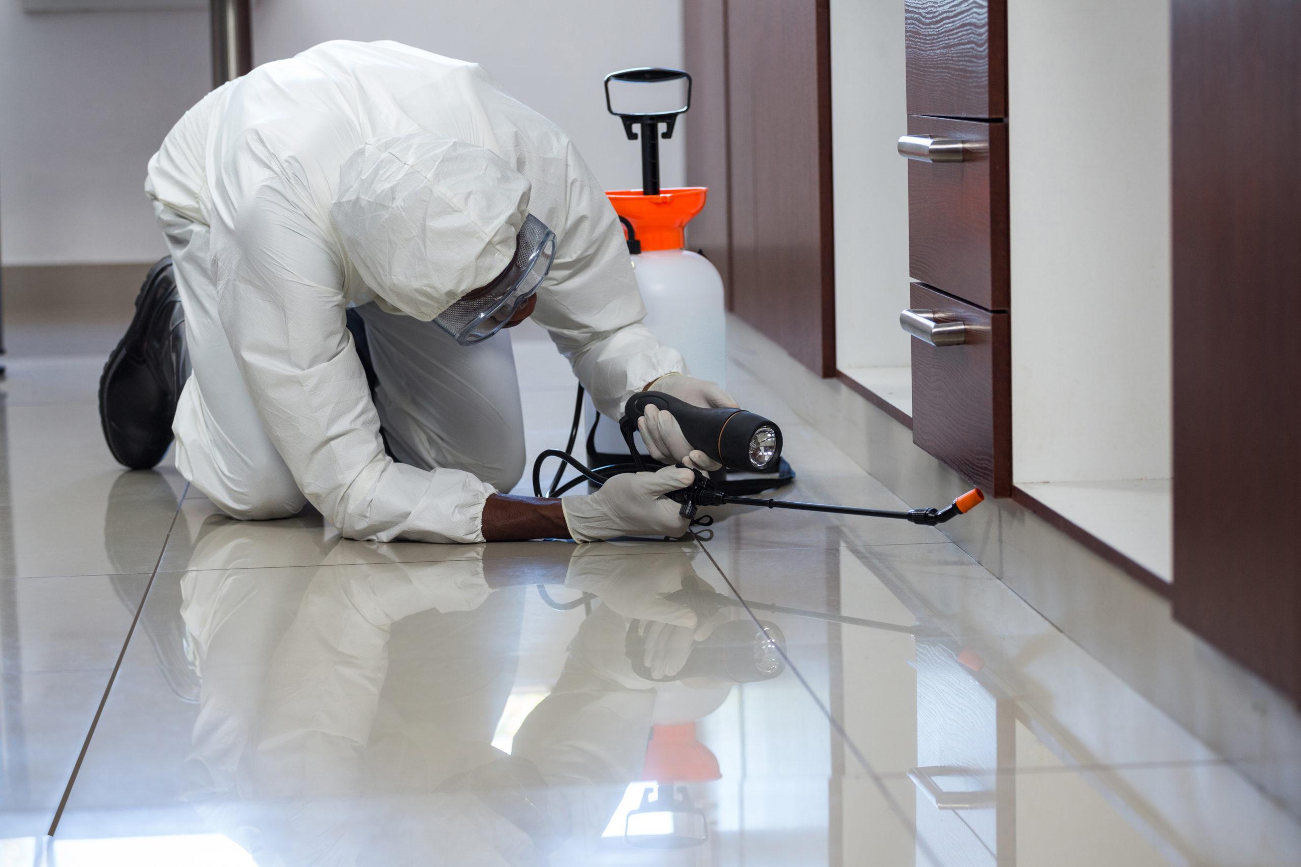 Control y mantenimiento de plagas en hogares y negocios.