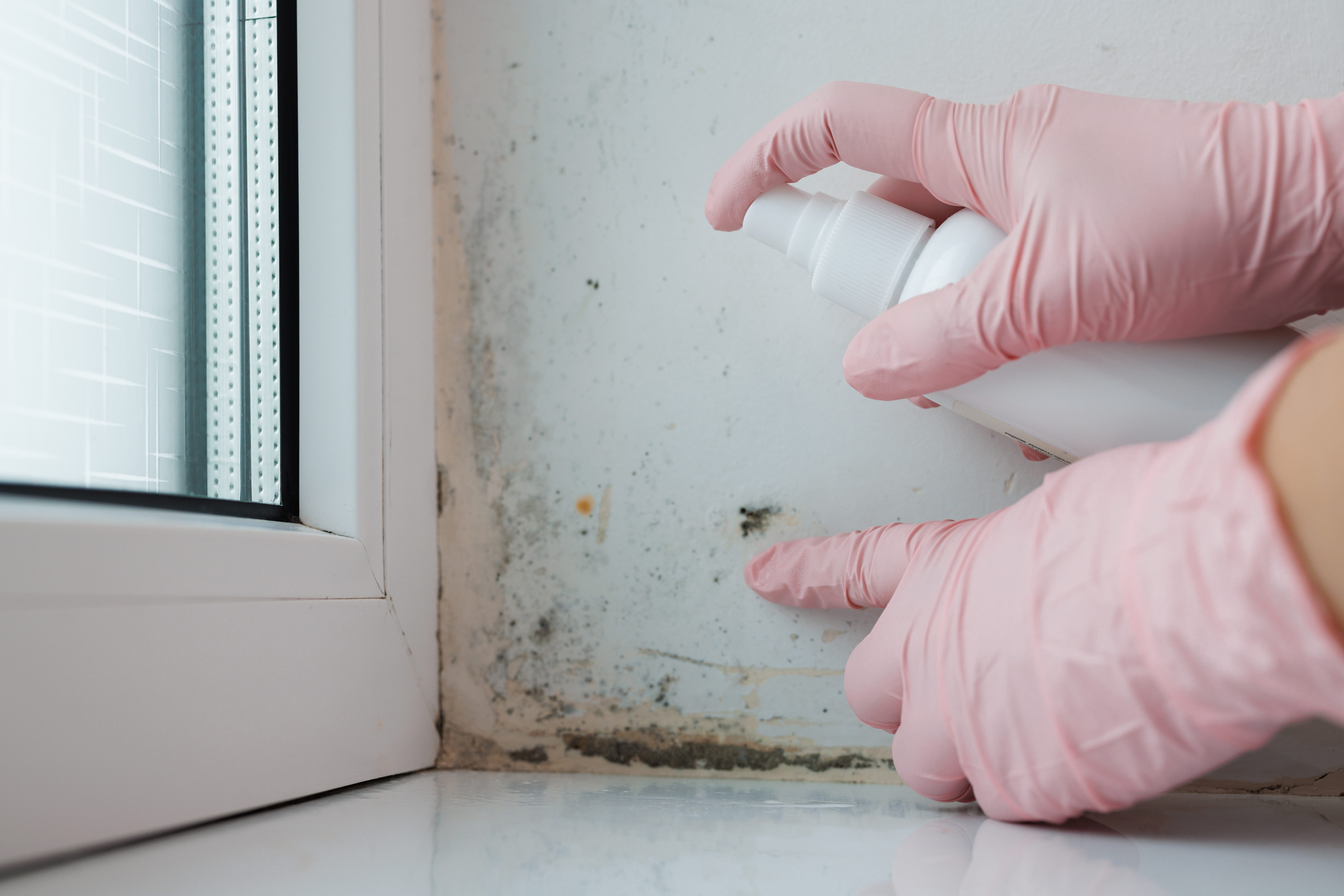 Consejos prácticos para eliminar las manchas de humedad en tu hogar
